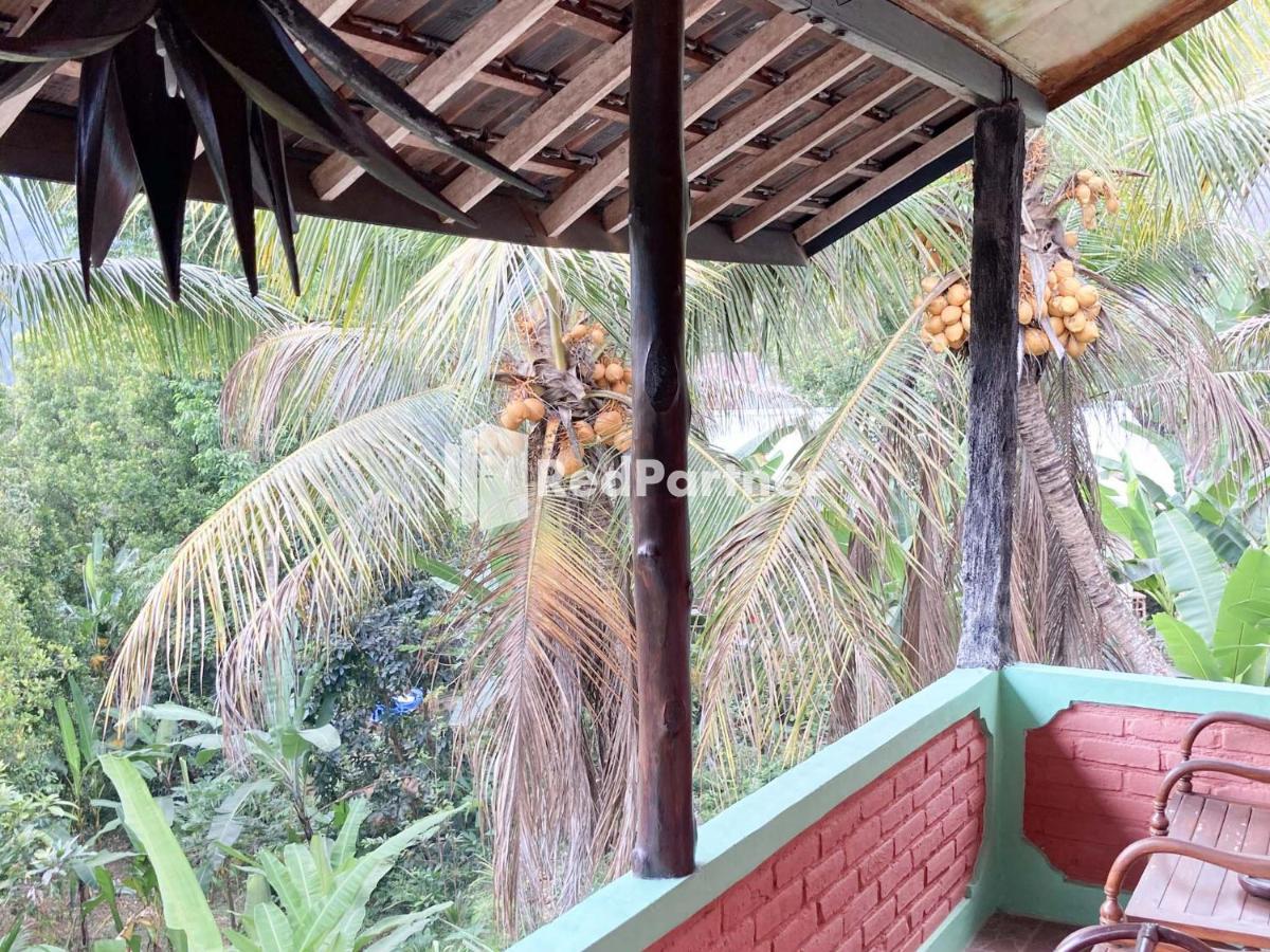Taman Ayu Homestay Munduk RedPartner Luaran gambar